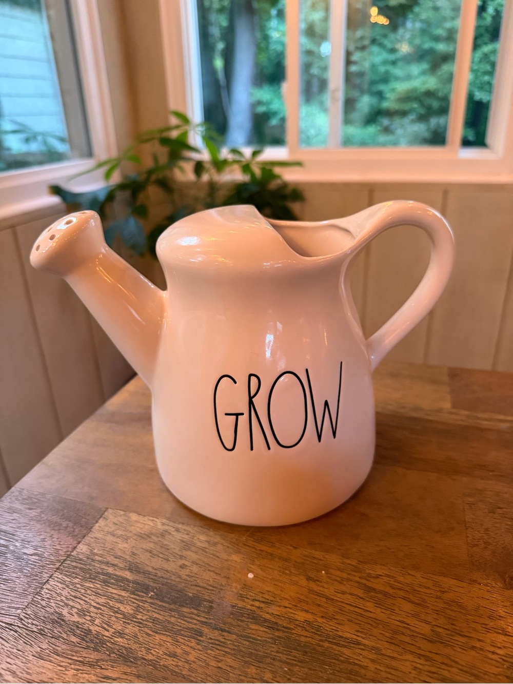 Rae Dunn Ceramic Watering Can